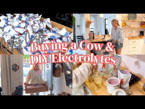 Healthy Homemaking // Cow Purchase, Making Dinner & Electrolytes