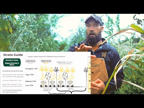 How Support Trees Make or Break your Food Forest