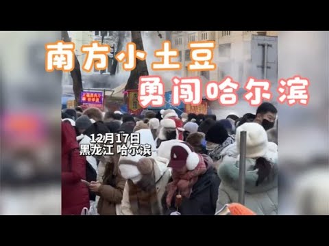 盘点南方小土豆远征哈尔滨，一个个都化身消费的“小金豆”
