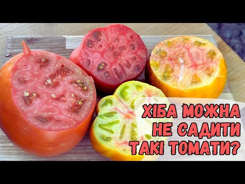 Хіба можна не садити такі томати?