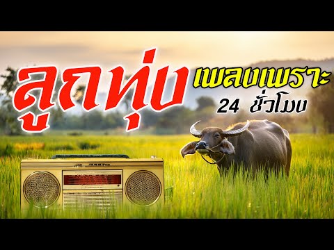 ลูกทุ่งเพลงเพราะ 24 ชั่วโมง