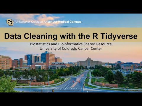 Data Cleaning With the R Tidyverse