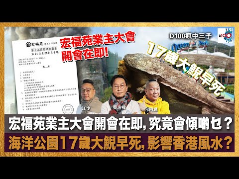 宏福苑業主大會開會在即，究竟會傾啲乜？海洋公園17歲大鯢早死，影響香港風水？｜瘋中三子｜主持：蔡浩樑、阿通、江少