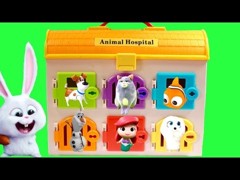 Colors Video with The Secret Life of Pets