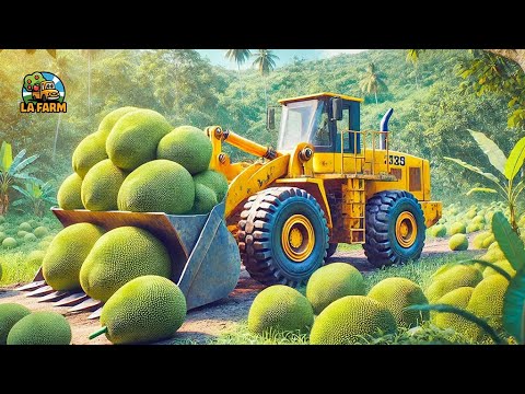 Harvesting Innovation: Success Through Technology Of Jackfruit Farmersπ‘