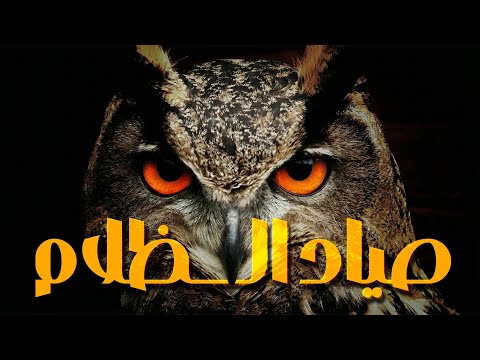 أخطر طائر في مملكة الحيوان! | البومة