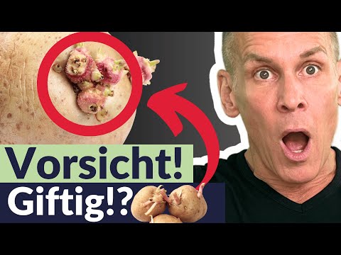 DAS passiert, wenn du KEIMENDE Kartoffeln isst!