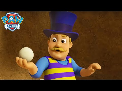 Humdinger Escapes the Nest! 🪺 - PAW Patrol Episode - Cartoons for Kids