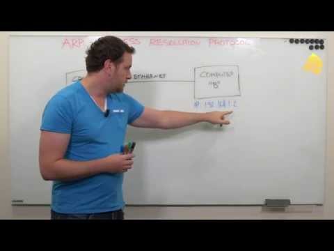 Address Resolution Protocol (ARP) Explained