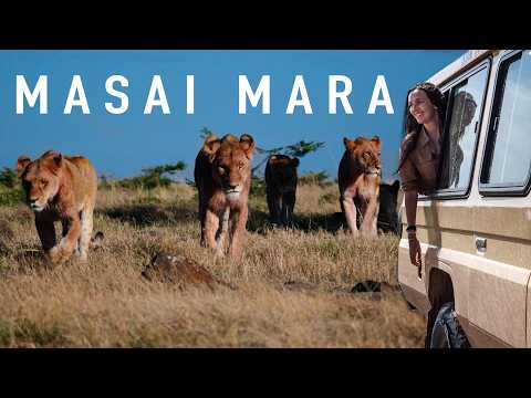 This Kenya Safari Will Blow Your Mind (Masai Mara)
