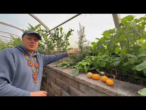 Citrus Greenhouse Tour 2025