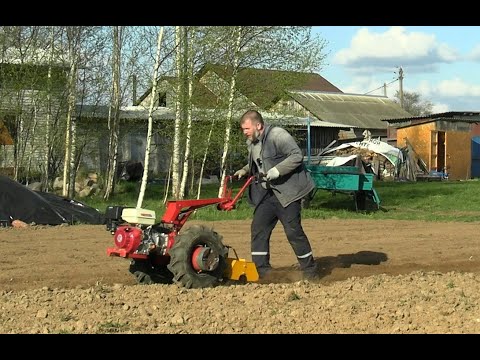 Working with a Smorgon-made rotary tiller. FR-0001 MTZ Weima WM188F 13 hp soil tiller.