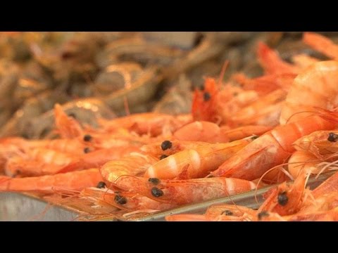 Shrimp : the new stars of the grill - Capital M6