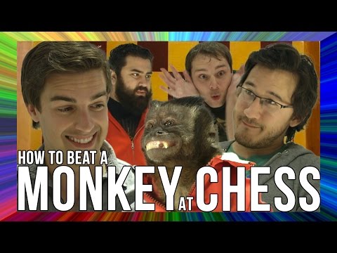 How To Beat A Monkey At Chess: THE MUSICAL (feat. MatPat, The Completionist, Random Encounters)