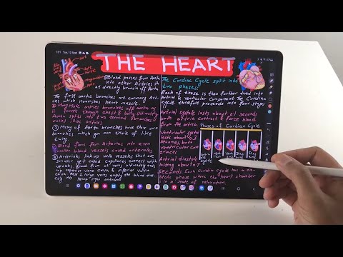 How to Use Samsung Tab S9+ Plus for Note-taking & Studies - 16 Tips & Tricks