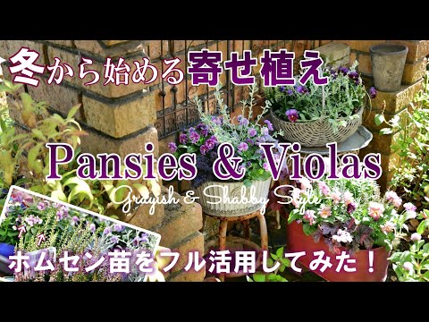 【冬から始める】パンジービオラで簡単おしゃれな寄せ植え作り｜失敗しない苗選び｜グレイ＆シャビースタイル３鉢｜ガーデニング