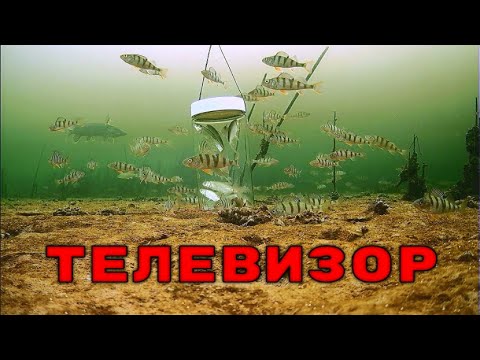 Подводный ТЕЛЕВИЗОР для Хищника! Щука, окунь, рак! Подводная съемка