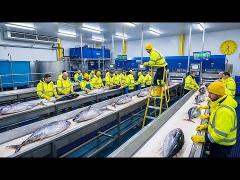 Inside the Factory Where Canned Tuna is Made (The SECRET FULL process)