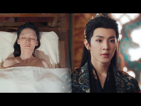 開胸手術灰姑娘昏迷不醒，高冷王爺守護一夜，輕輕脫下灰姑娘衣服為她治療！ | 一笑随歌 Fated Hearts #古裝 #愛情 #陈哲远 #李沁