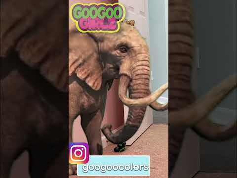 Elephant, Horse, and More! #ZZKidTV #googoocolors #googoofriends #shortvideo