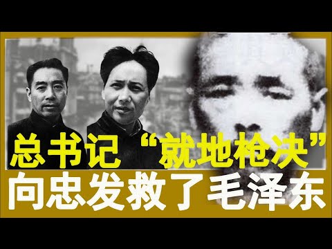 总书记叛变可是共党天大丑闻，但是毛泽东骂遍了所有总书记，就是没骂他，有啥秘密？ 268集