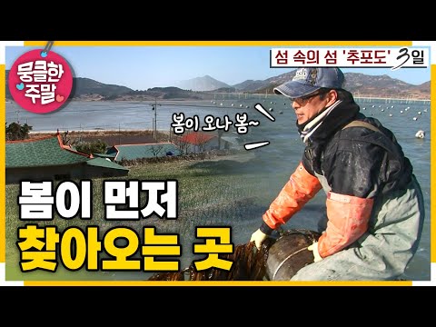 [뭉클한 주말🍀] 봄소식이 먼저 찾아오는 곳🌱 행복과 함께 봄이 오다☺️ | KBS 110320 방송