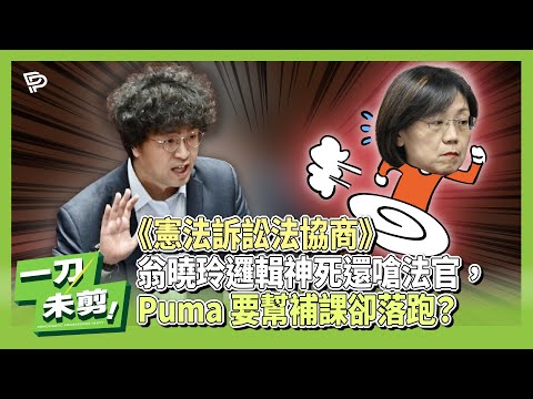 【一刀未剪】翁曉玲邏輯神死還嗆法官 PUMA要幫補課還落跑？