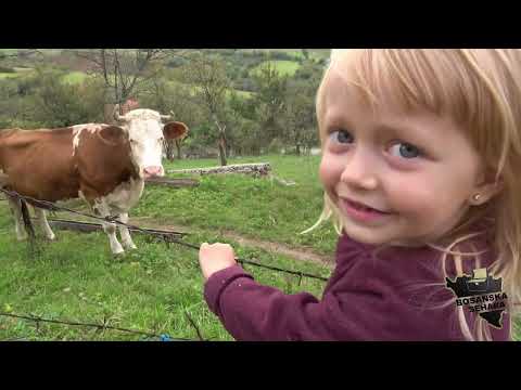 Krava a uskoro novi krov na kući mališana Podrinja
