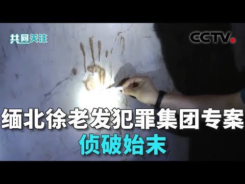“14个园区诈骗11亿”！犯罪集团迅速“崛起”，手段残忍！缅北果敢“新兴势力”徐老发案细节曝光 20251017｜CCTV中文《共同关注》