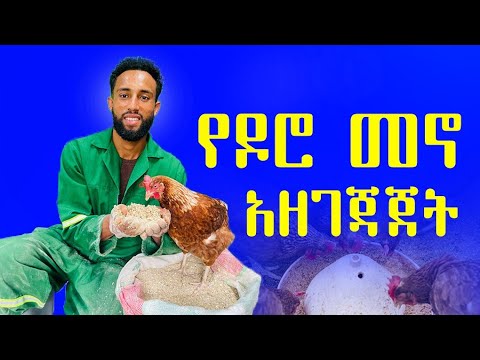 የዶሮ መኖ አዘገጃጀት