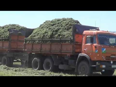 Учебный фильм по проведению основных этапов заготовки сенажа