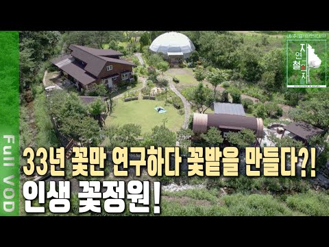 A man obsessed with flowers for 33 years creates a flower garden on Naejangsan Mountain! How larg...