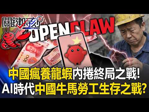 [ENG SUB]China’s Crayfish Boom Turns Brutal in AI-Era Survival Race