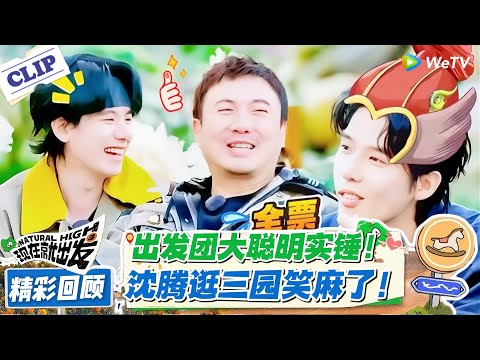 现在就出发 第3季名场面回顾：出发团人均大聪明！推理靠排除法锁身份，逛三园辩 “蟑螂属动物园”，脑回路清奇又爆笑！#现在就出发 #现在就出发S3