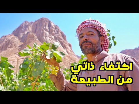 مصري يعالج اهل مدينته بدون دواء...اصبح معروف عالميا