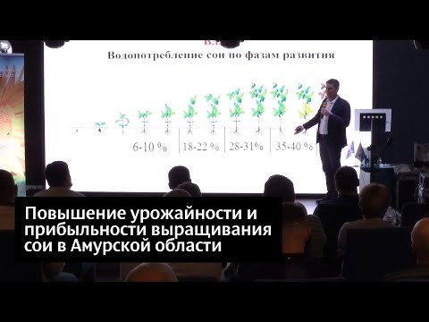 Повышение урожайности и прибыльности выращивания сои в Амурской области