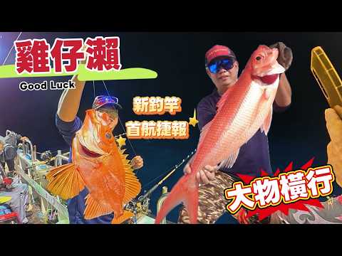 雞仔瀨實測新釣竿|長尾濱鯛、大目鰱、大青雞全都中!南魷餌也瘋狂咬!
