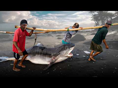 Inside Asia’s Shark Hub of Horror (Trigger Warning)