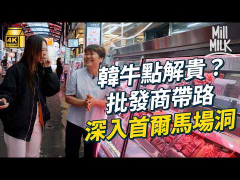 #MM｜韓牛點解貴？到最高質出產地品嚐最高等級極罕稀有部位 批發商帶路深入首爾馬場洞目擊全牛去骨解體 踩入屠宰場直擊拍賣過程 參觀牧場拆解飼養秘密見韓牛真身｜#美味道來 #4K