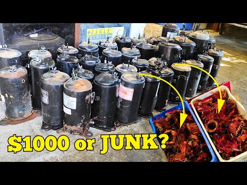 How Much $$$ Can You Make from 41 Sealed Compressors? (Surprising Results)