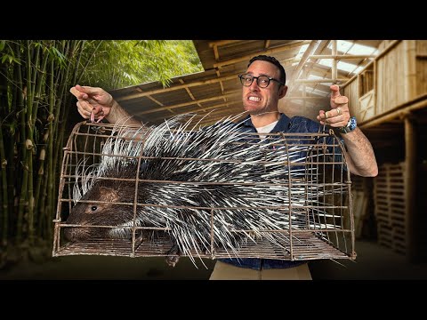 Inside Vietnam's PORCUPINE BOOM: The Rise of Backyard Wild Farms