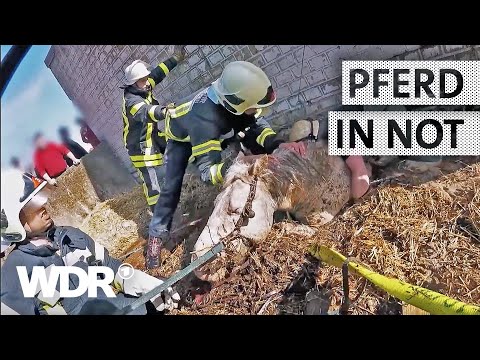 Pferd in Jauchegrube gestürzt | S02/E02 | Feuer & Flamme | WDR