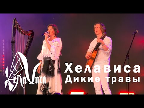 Мельница, Дикие травы, Акустика, 4K60 Hi-Fi