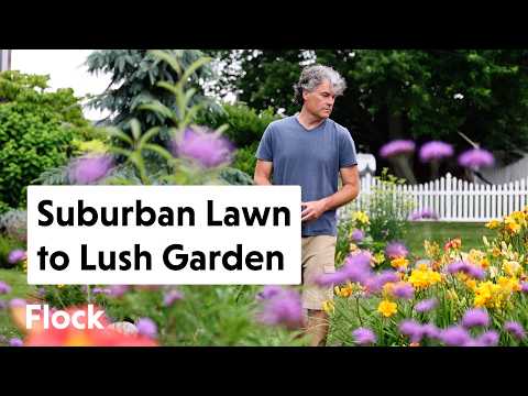 He Turned His SUBURBAN LAWN into a LUSH GARDEN — Ep. 322