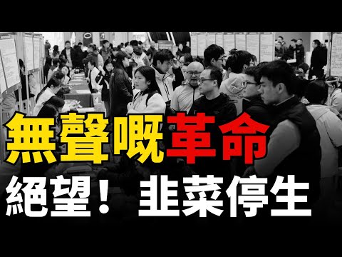 【中國失業之謎】無聲嘅革命｜兩大引擎熄火｜學歷貶值｜持續惡化到 2038 年｜中國青年失業率｜絕望嘅未來｜「韭菜」停止生長｜政治符號｜阿拉伯之春｜