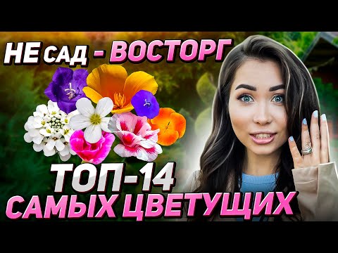 14 редких эффектных цветов для участка (на зависть соседям)