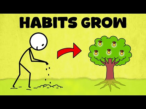 35 Daily Habits That (Quietly) Transform Your Life Forever