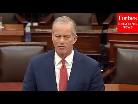 John Thune Vows To 'Get This Government Funded And Prevent' Shutdown Repeat As Congress Recesses