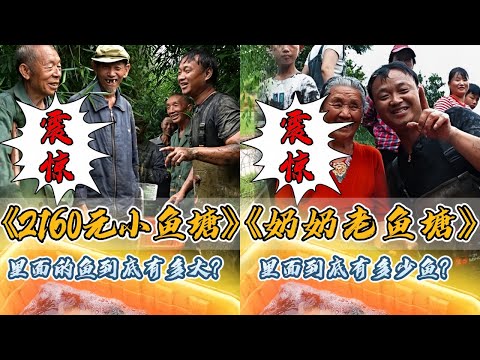 花2160元包下叔叔在深山里面的小鱼塘，里面到底会有多少鱼？｜盘下79岁老奶奶家的鱼塘，没想到全村的人都来了？｜#户外抓鱼 #户外捕鱼 #大表哥抓鱼 #乡村生活 #农村生活
