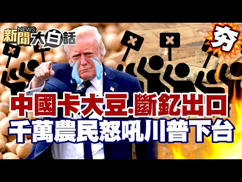 【#精選】中國喊卡大豆.斷釔出口！稀土大限將至美國空前危機 千萬農民怒吼川普下台！【#新聞大白話】#中國#稀土#美國本#川普